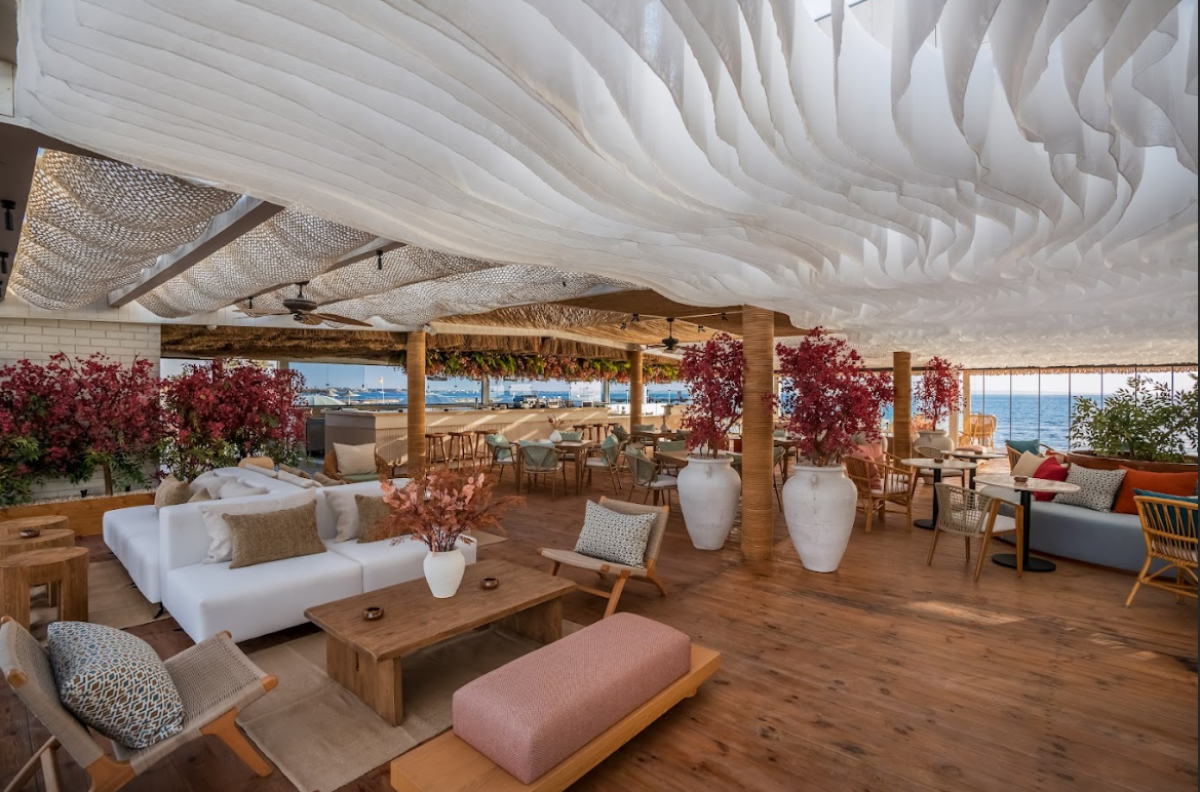 Capture_d’écran_2026-02-24_095644