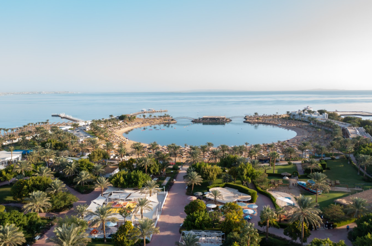 Capture_d’écran_2026-02-24_101427