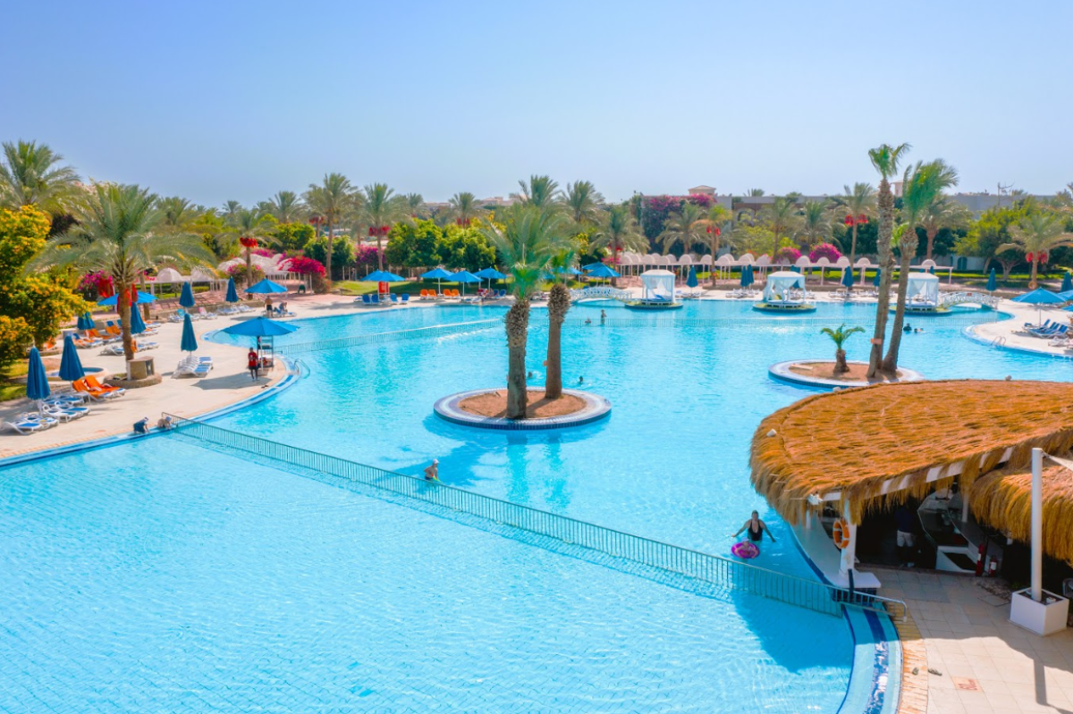 Capture_d’écran_2026-02-24_101822