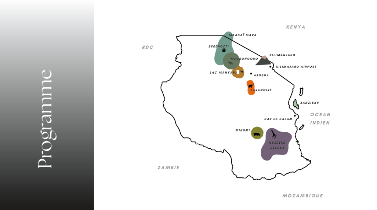 Capture_d’écran_2026-04-08_115455_-_Copie