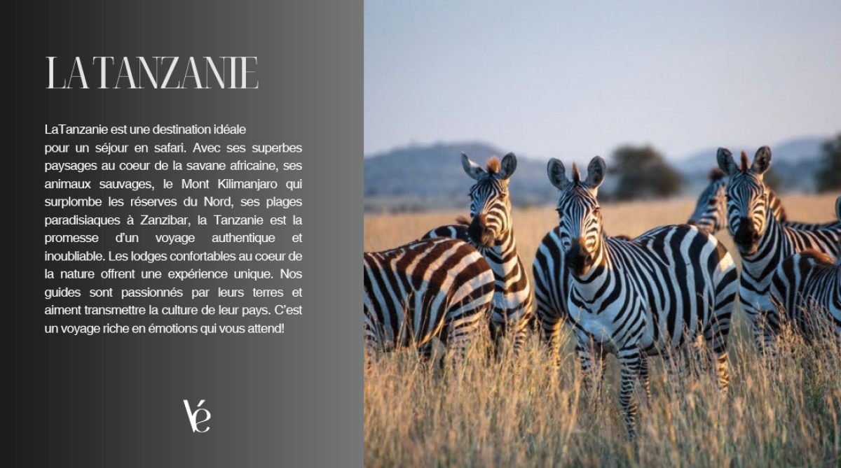 Capture_d’écran_2026-04-08_115550_-_Copie