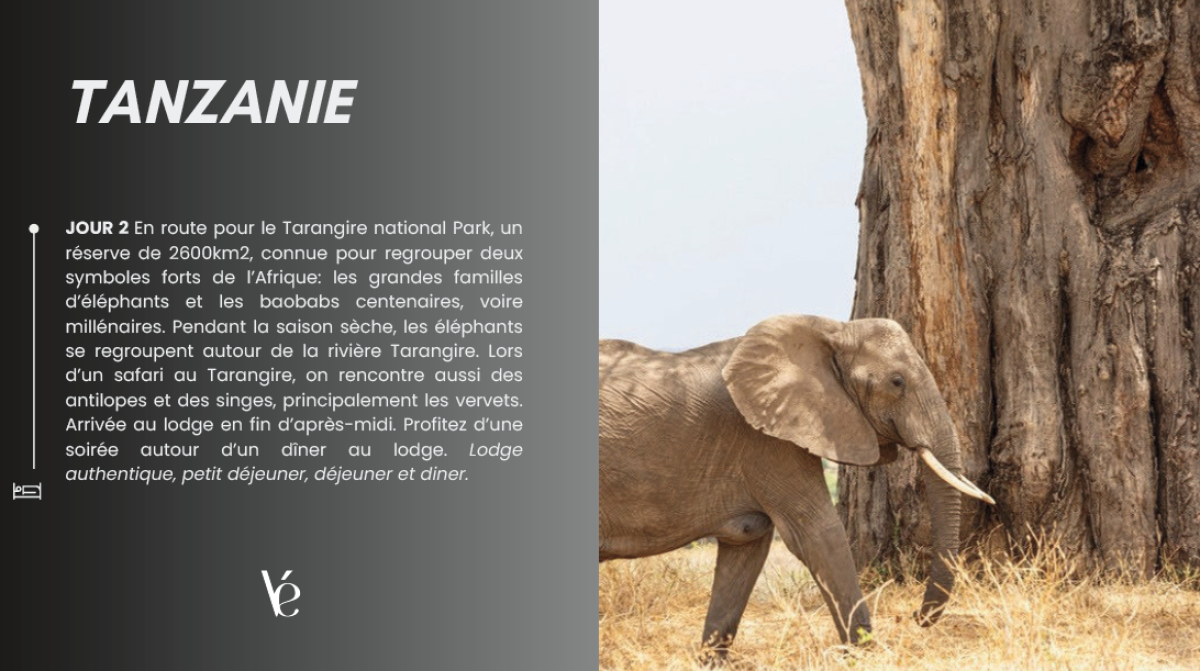 Capture_d’écran_2026-04-08_120043_-_Copie