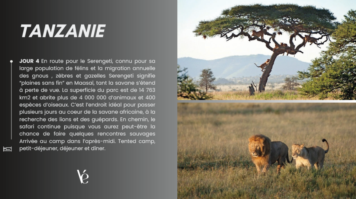 Capture_d’écran_2026-04-08_120128_-_Copie