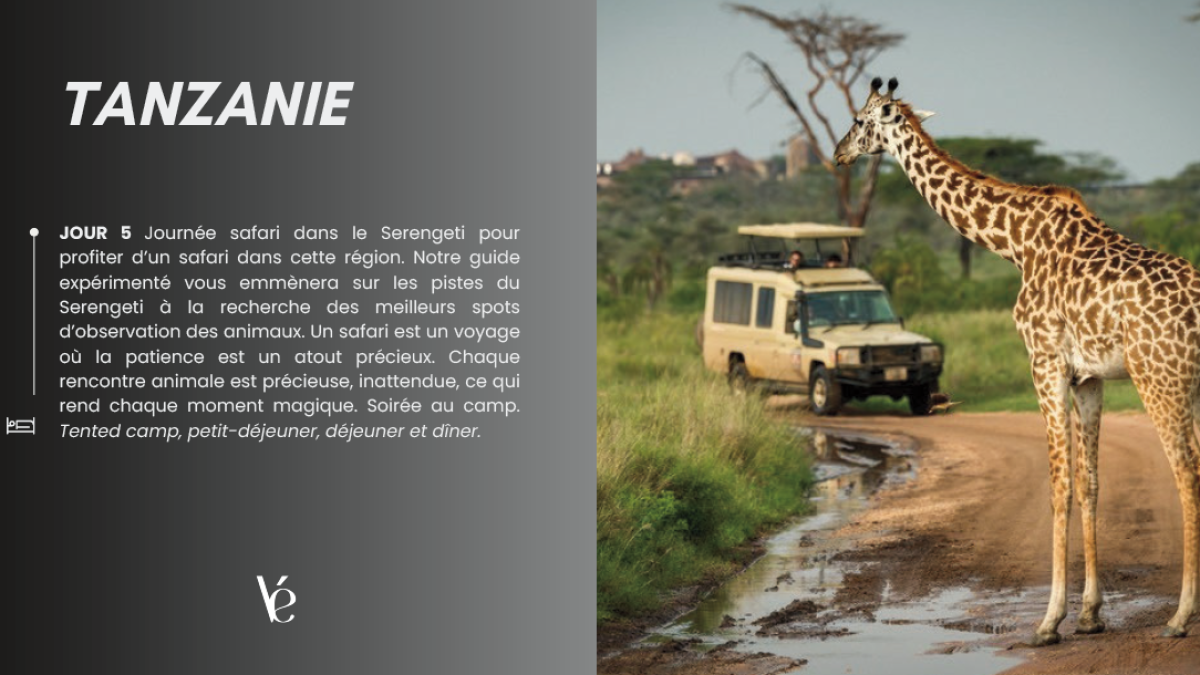 Capture_d’écran_2026-04-08_120208_-_Copie