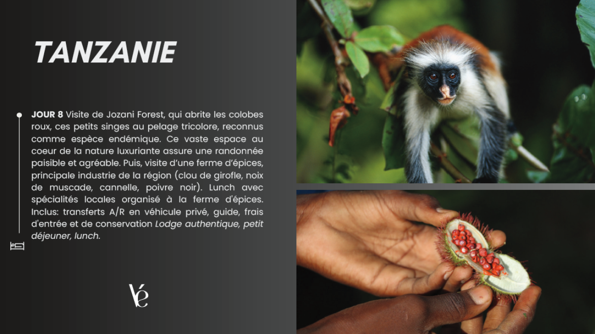 Capture_d’écran_2026-04-08_120323