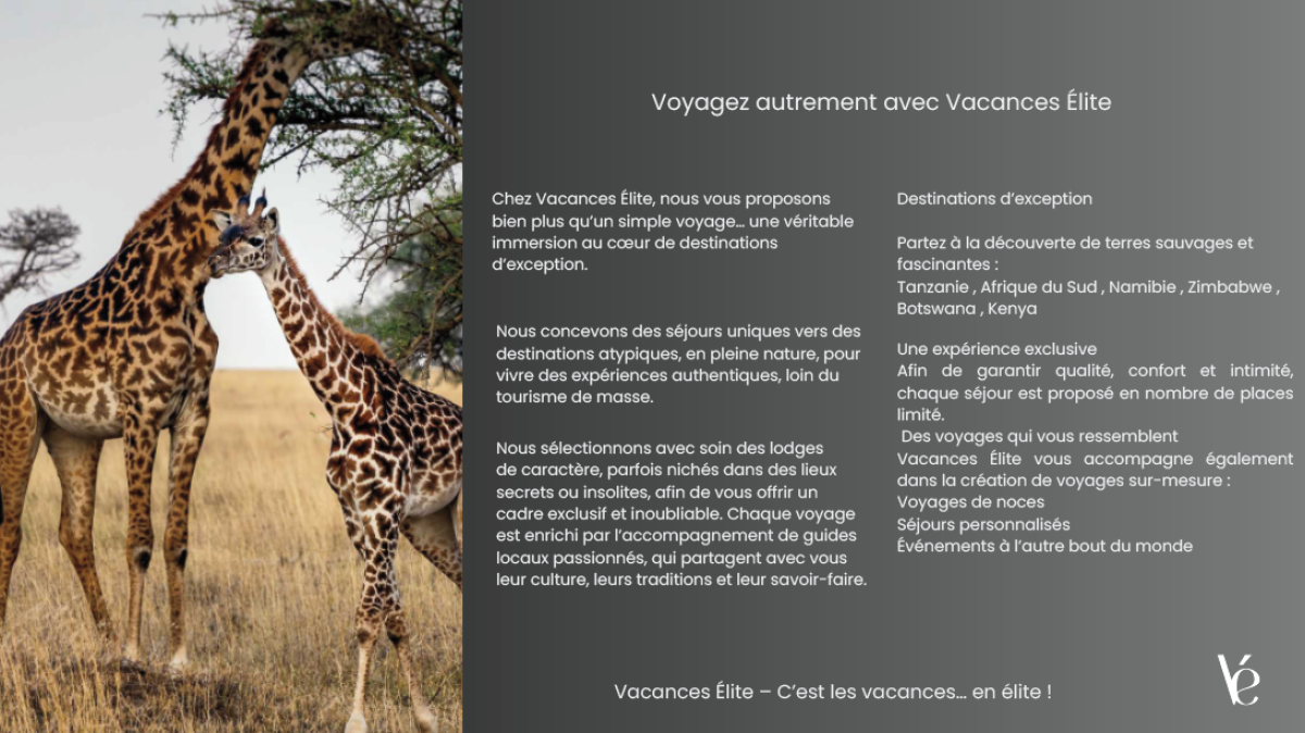 Capture_d’écran_2026-04-08_120503