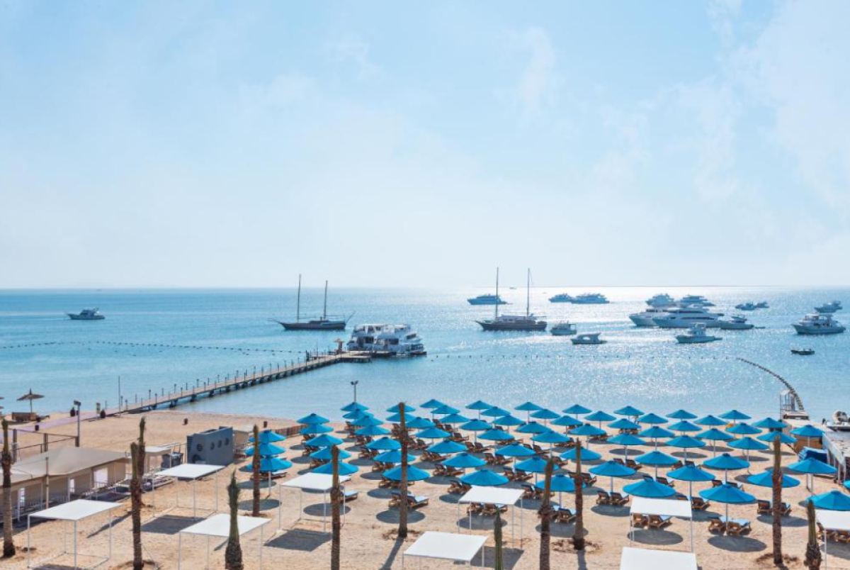 Capture_d’écran_2026-01-15_134131_-_Copie