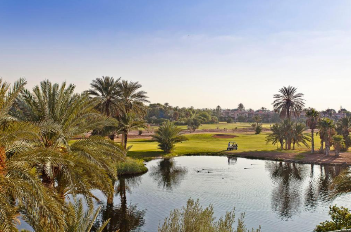 Capture_d’écran_2026-01-08_162227